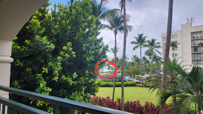 Paid 2x cost for an ocean view in Puerto Rico Image