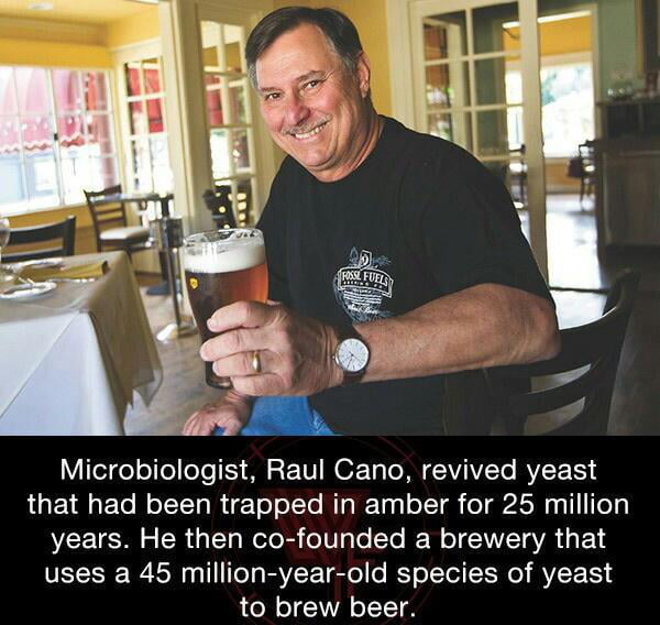 Raul cano, a microbiologist who was able to awaken ancient y