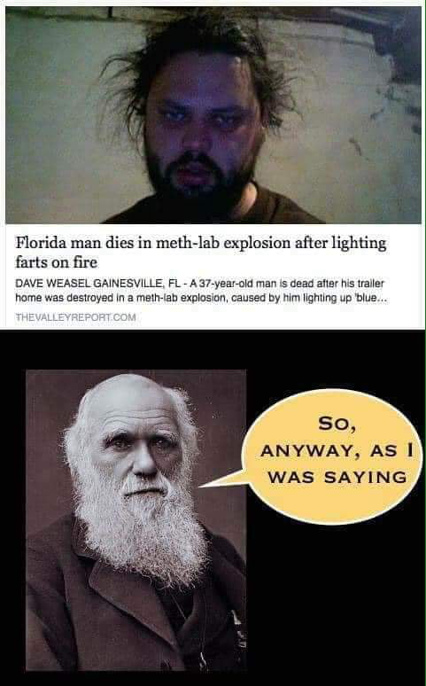 Floridaman strikes again