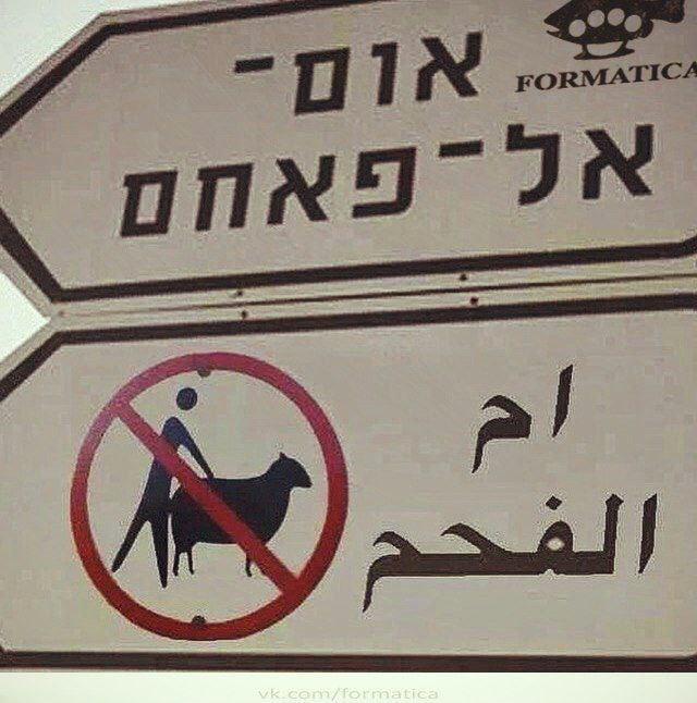 Do not the sheep