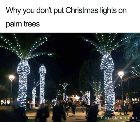 When palm tree got special lights... Image