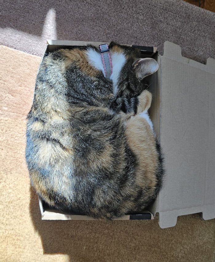 If it fits...