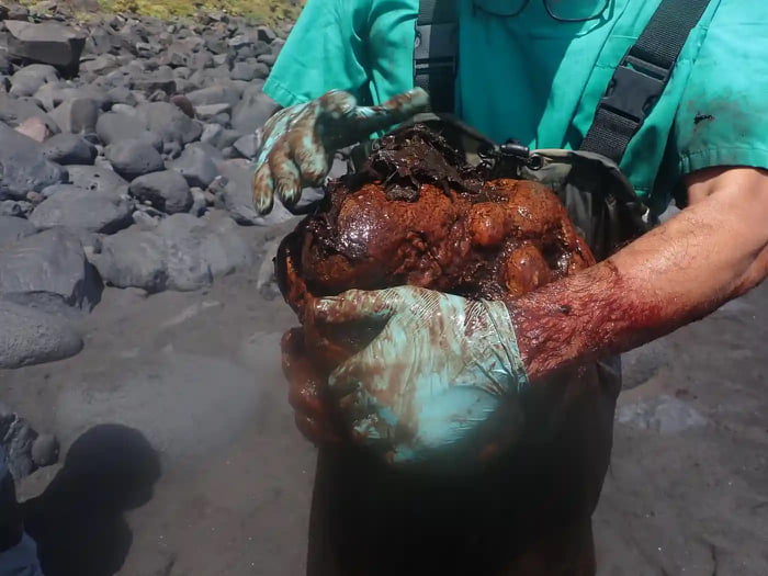 A 9.5kg (21lb) ambergris stone, valued at more than €500,0