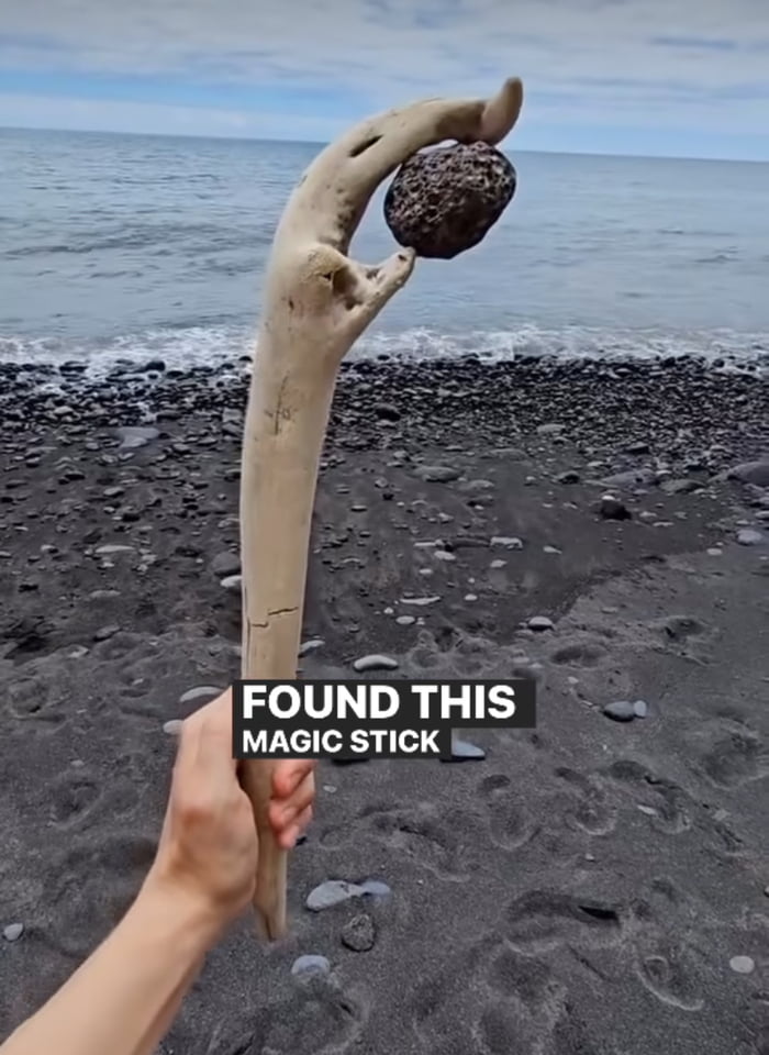 This dude found the stick of a lifetime: Driftwood with infu