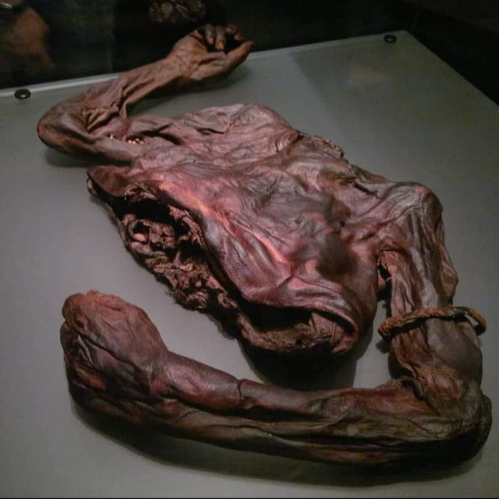 2000 year old human torso found in a bog