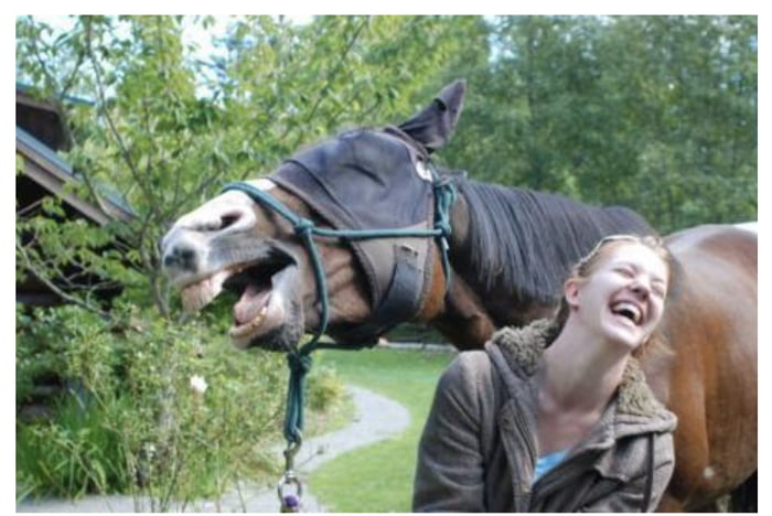 Which joke they are laughing at? Post your version as commen