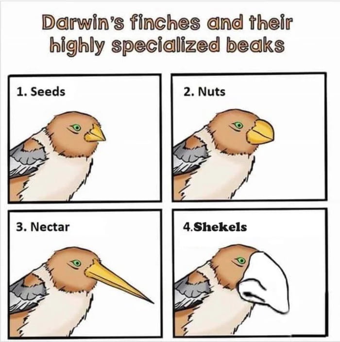 Darwin's finches!