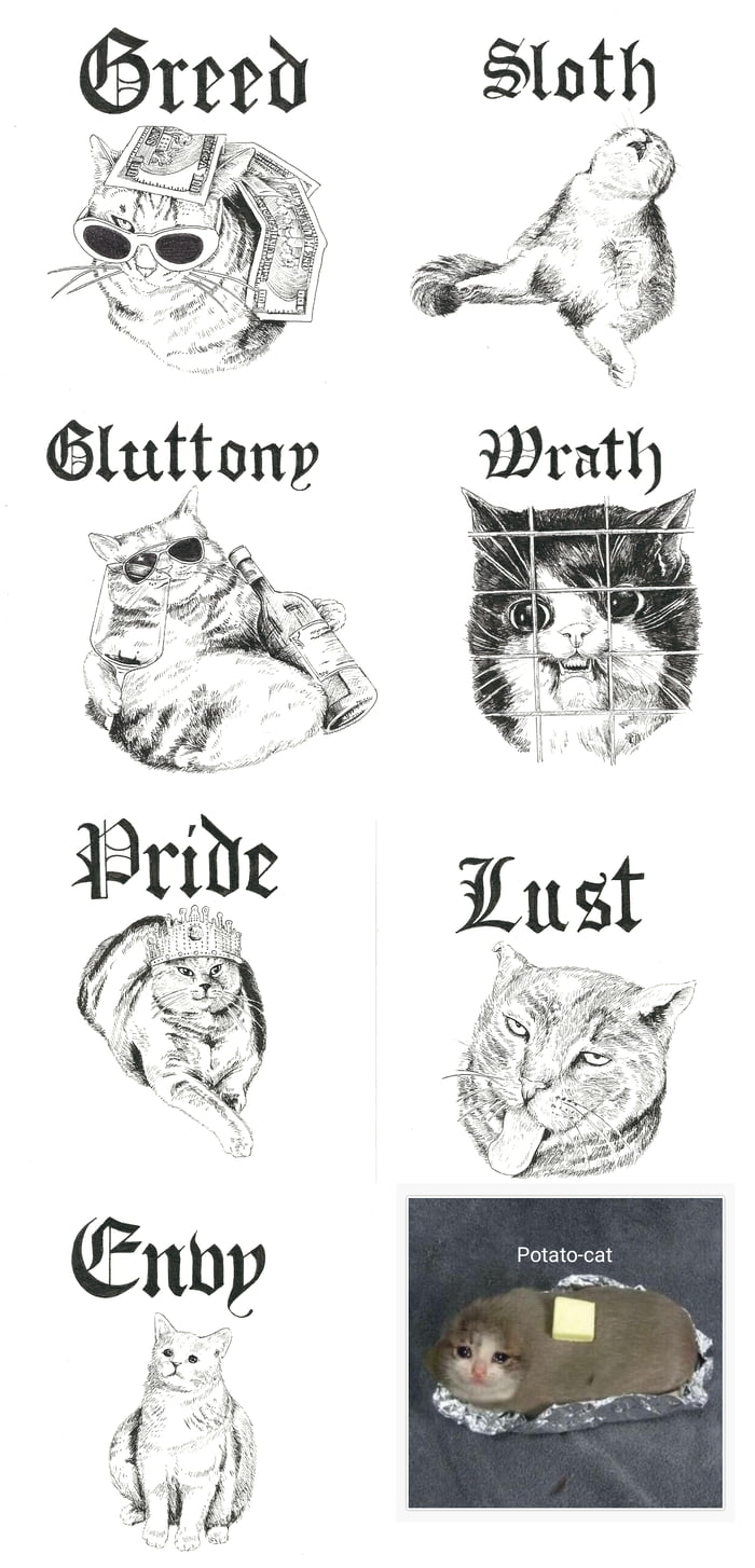 All 7 Sins as meme-cats Image