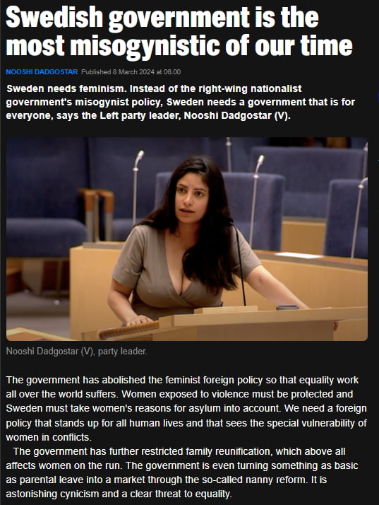 Swedish Left: "Sweden needs feminism."