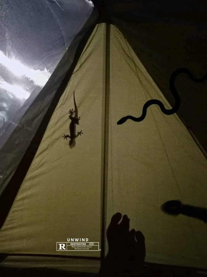 Scary night camp!
