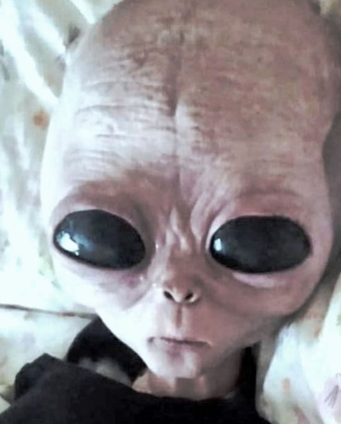 Why do you believe in Aliens? Image