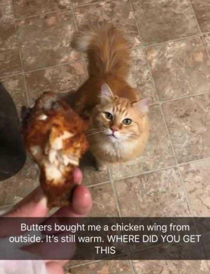 Butter has a lot of explaining to do 🤣