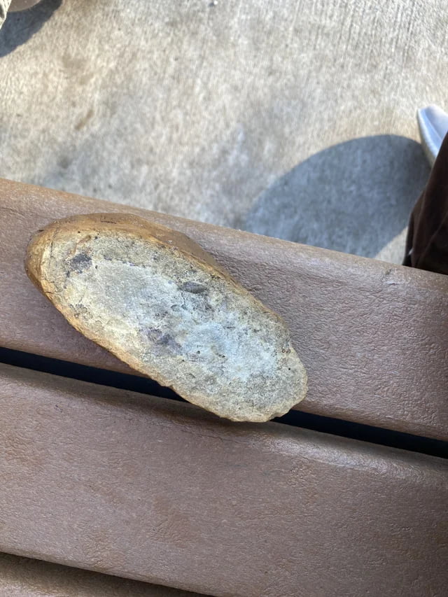A rock that kinda looks like a slice of bread Image