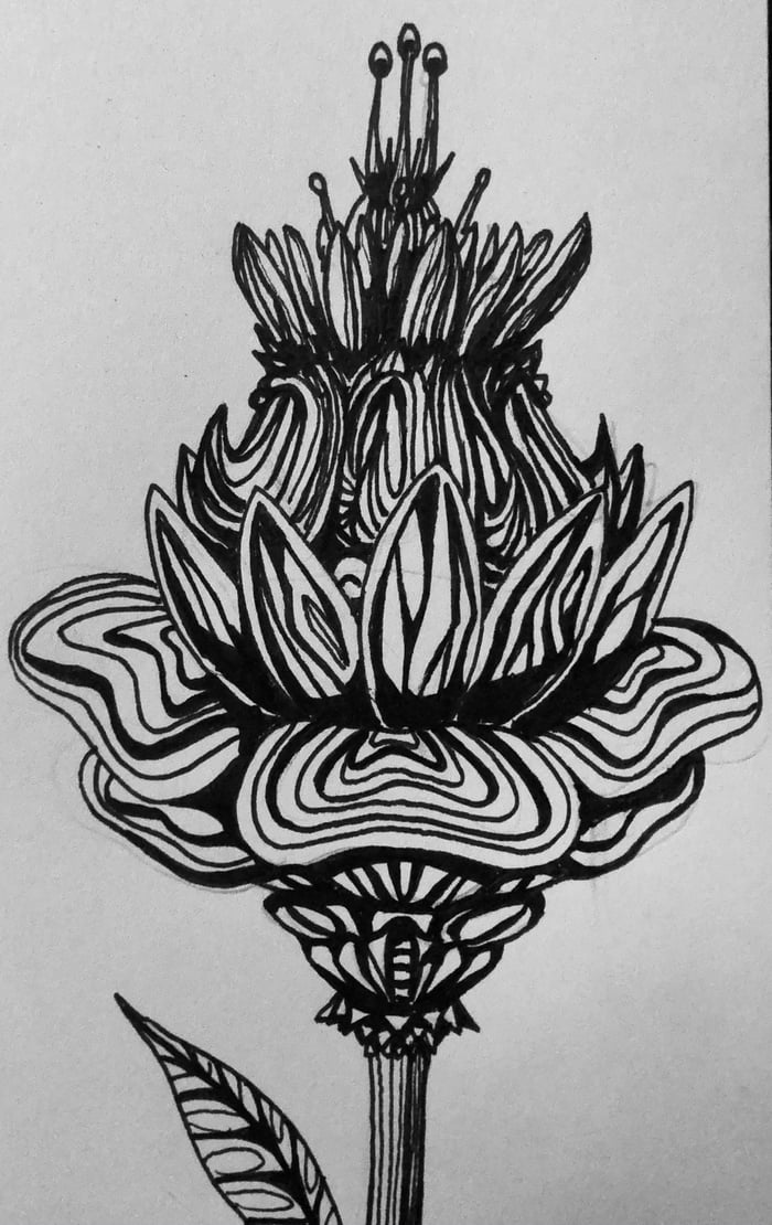 Today I drew this small flower Image