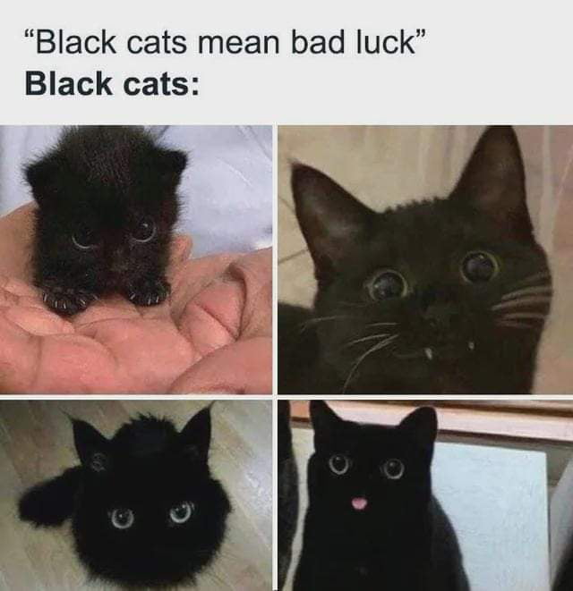 When did we stop calling black cats voids Image