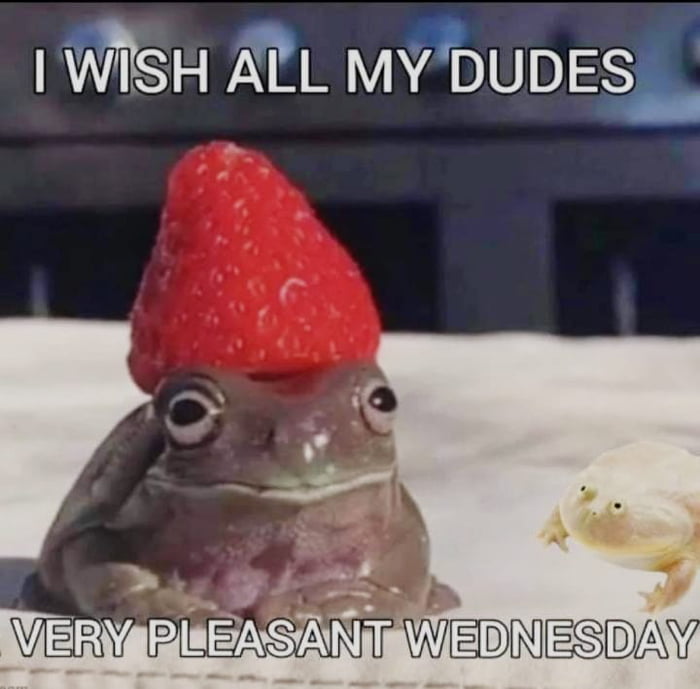 Wednesday my dudes