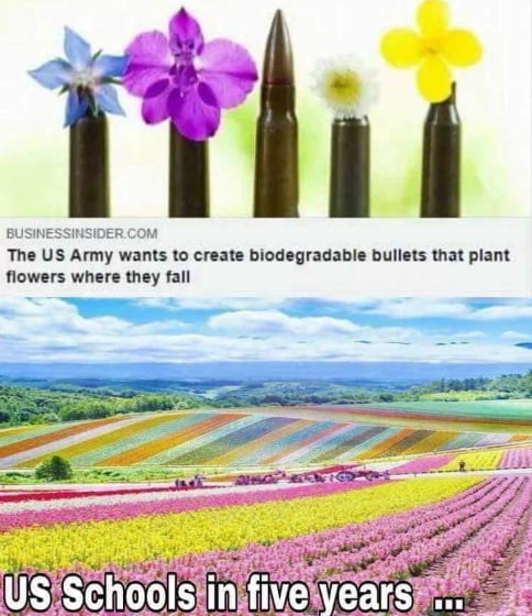 Biodegradable bullets that plant flowers where they fall