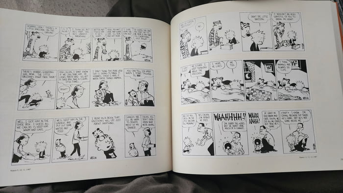 Calvin ans Hobbes, just bought 6 kg of The Complete Edition,