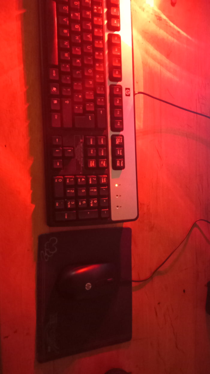 My HP keyboard and mouse are both connected via the one PS/2 Image