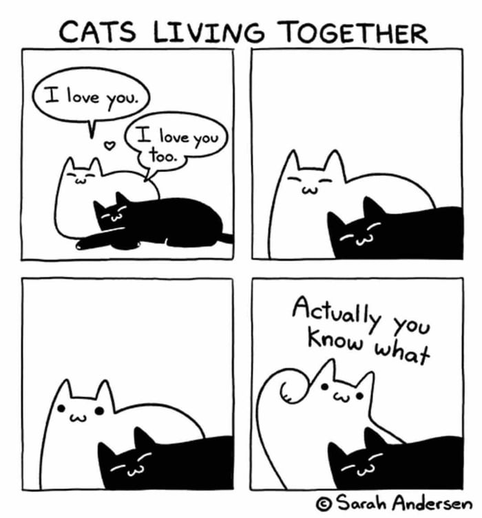 Cats actually