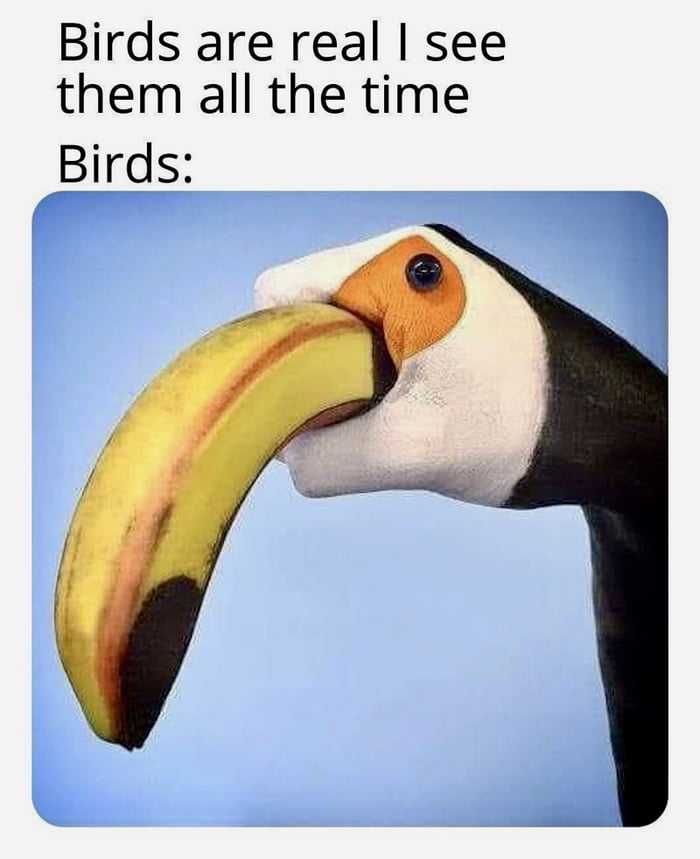 Birds are real? Image