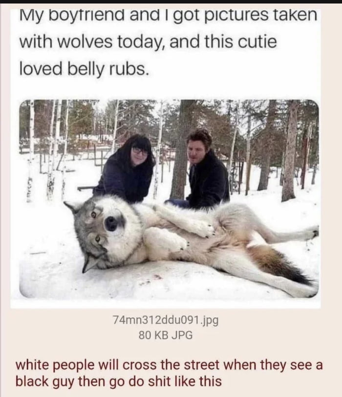 Because black guy is more dangerous than a wolf