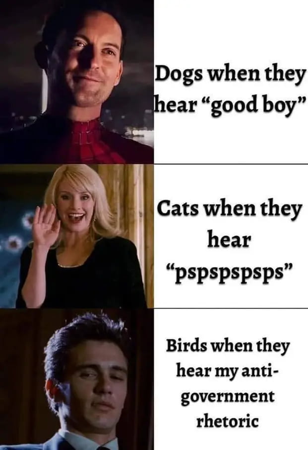 Birds are not real