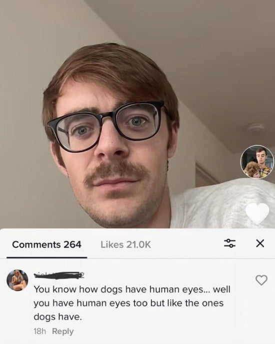 Dog eyes/Human eyes