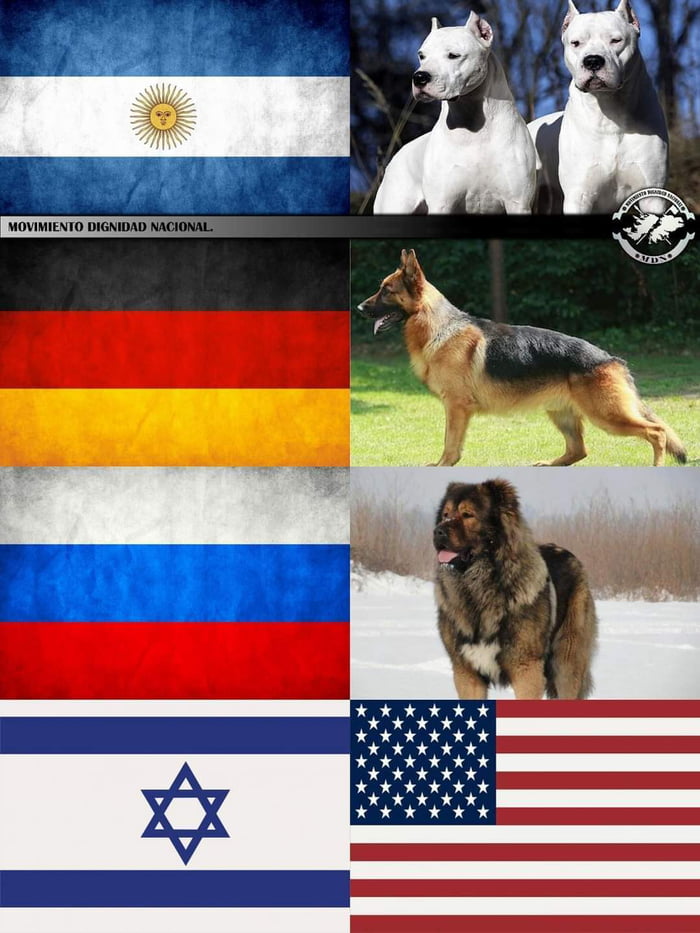 Every country has their own dog