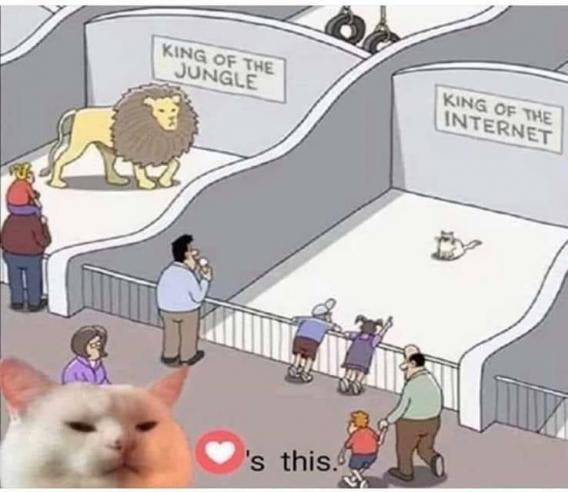 King of The Jungle vs King of The Internet Image