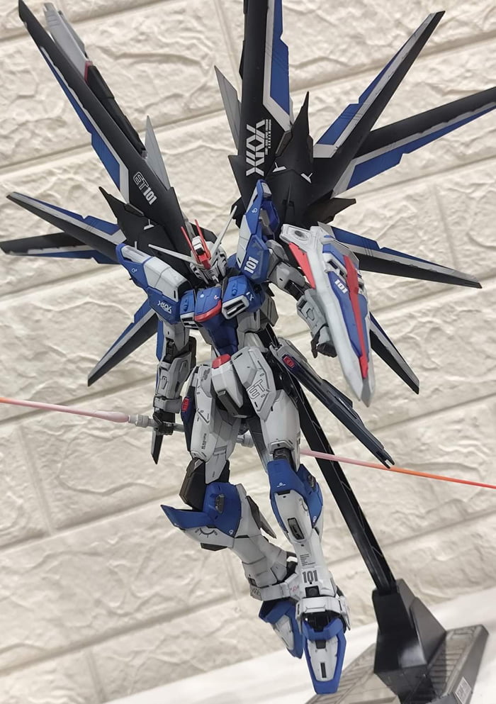 Gundam Gunpla Freedom Custom Colour
