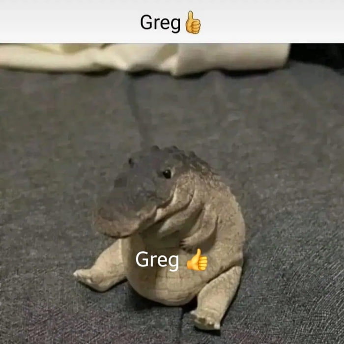 Greg 👍