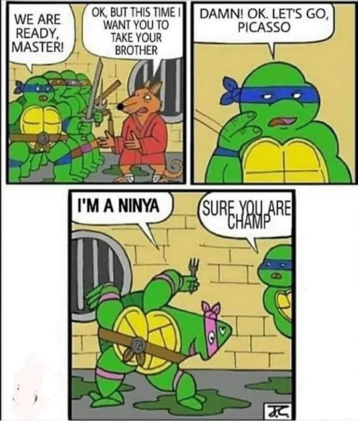 TMNT's special brother Image