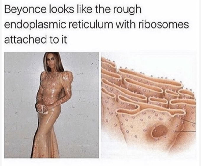 It ain't beyonce w/o ribosomes