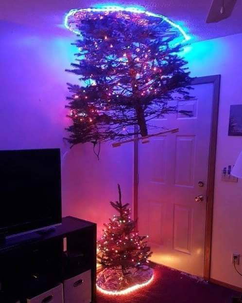 Advanced Physics Department's Christmas tree Image