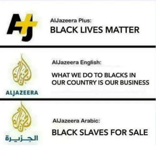 Liejazeera in a nutshell Image